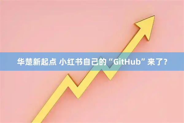 华楚新起点 小红书自己的“GitHub”来了？