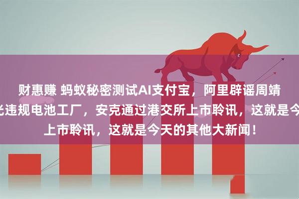 财惠赚 蚂蚁秘密测试AI支付宝，阿里辟谣周靖人离职，央视曝光违规电池工厂，安克通过港交所上市聆讯，这就是今天的其他大新闻！